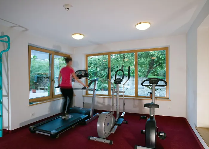 Alpenpanorama ゼル